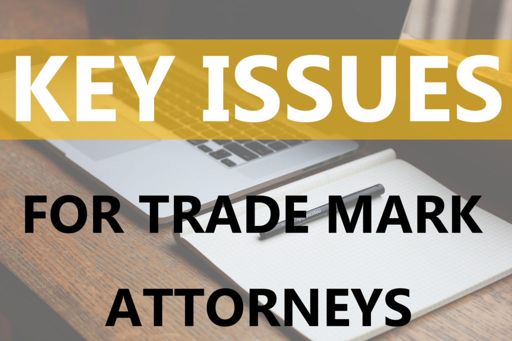 Dawn Ellmore Employment key issues for trademark attorneys