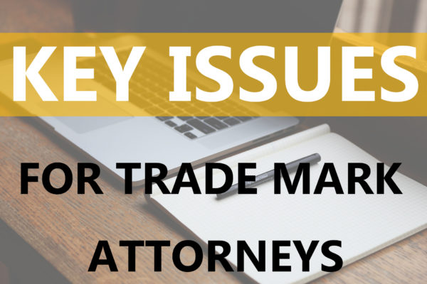Dawn Ellmore Employment key issues for trademark attorneys