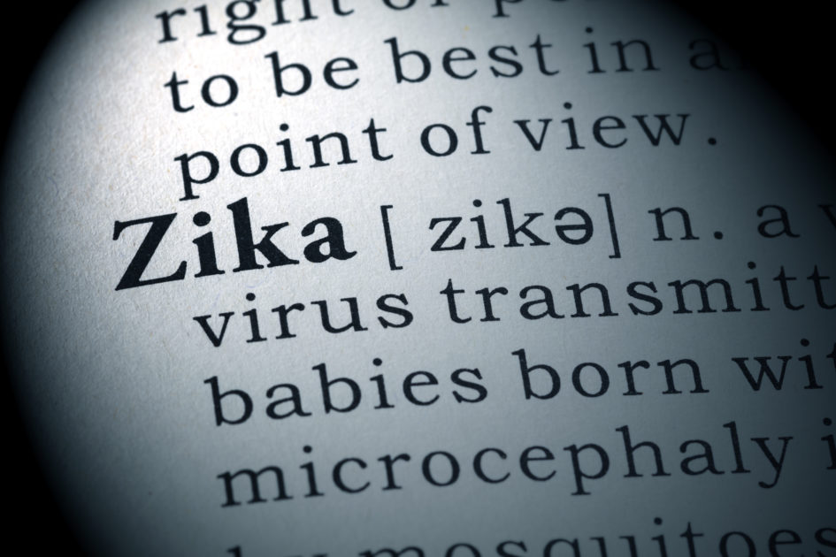 Dawn Ellmore Employment - Zika patent
