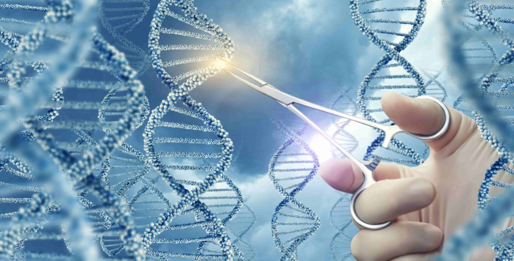 Dawn Ellmore Employment - gene editing tool patents