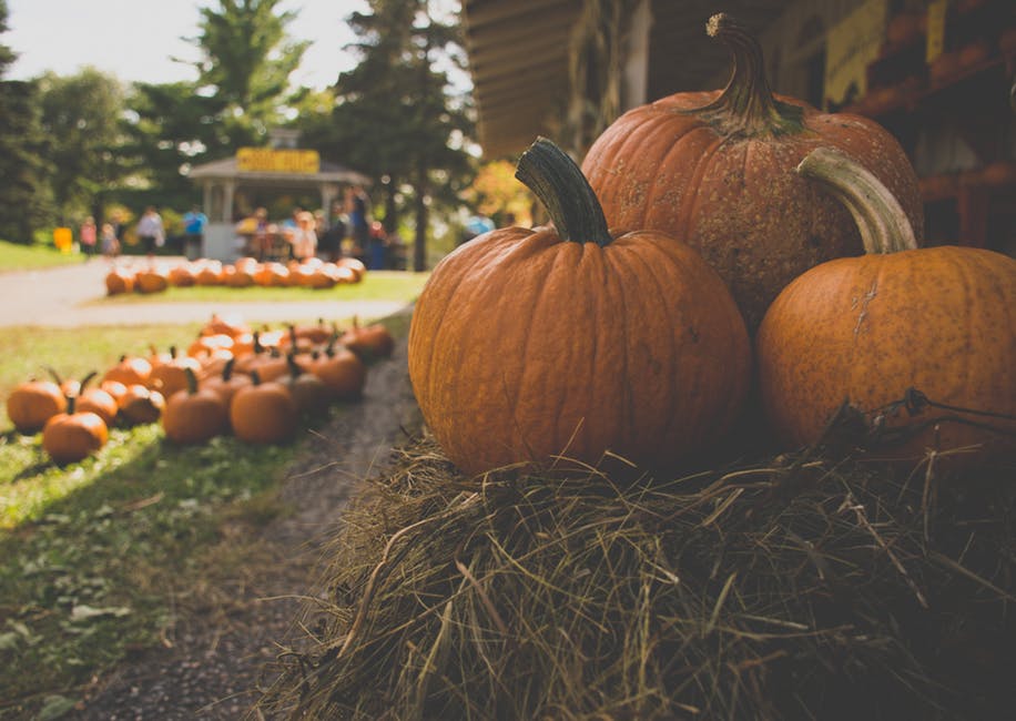 Dawn Ellmore rounds up the five spookiest pumpkin patents